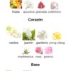 Lattafa Fakhar Rose - EDP 100ml