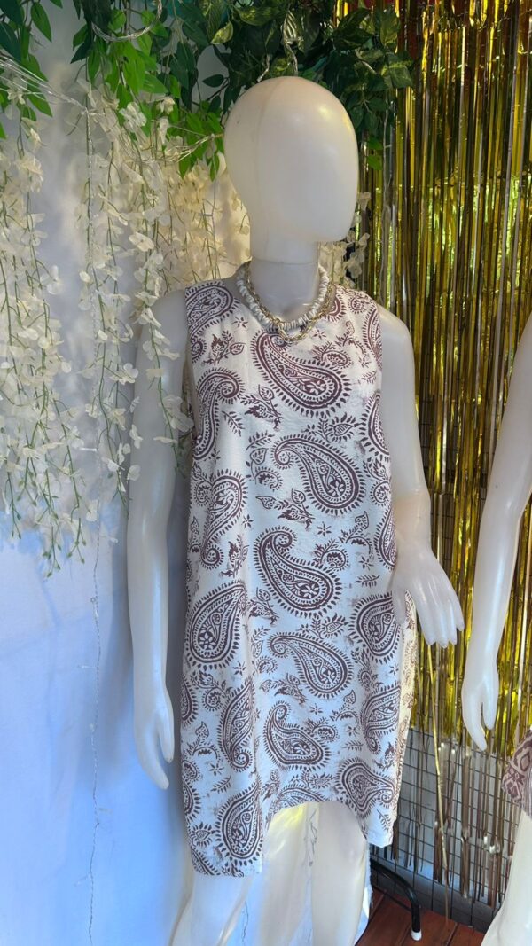 WhatsApp Image 2026-01-15 at 11.37.54 (2) Vestido Estampa Paisley