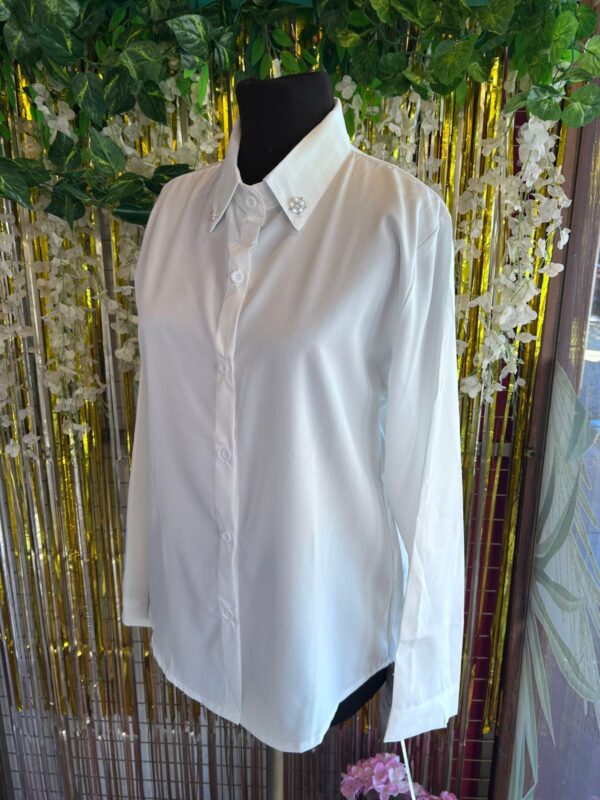 Camisa Importada de Seda