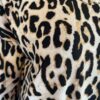 WhatsApp Image 2026-05-11 at 10.41.14 Remera Cuello V Animal Print T. 5