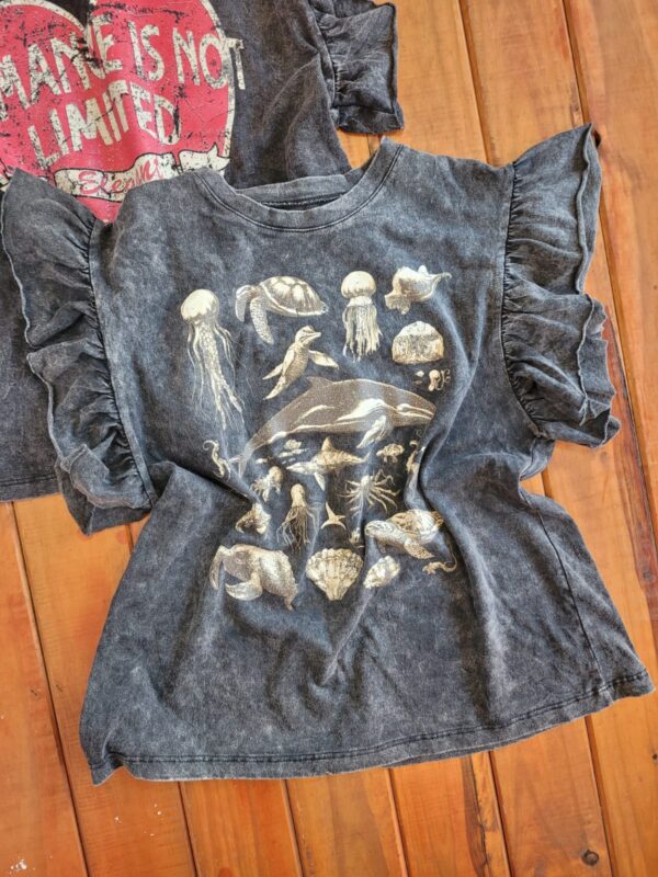 WhatsApp Image 2026-09-09 at 10.45.13 (1) Remeras Con Volados